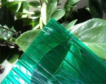 گرین Polycarbonate کھوکھلی شیٹ